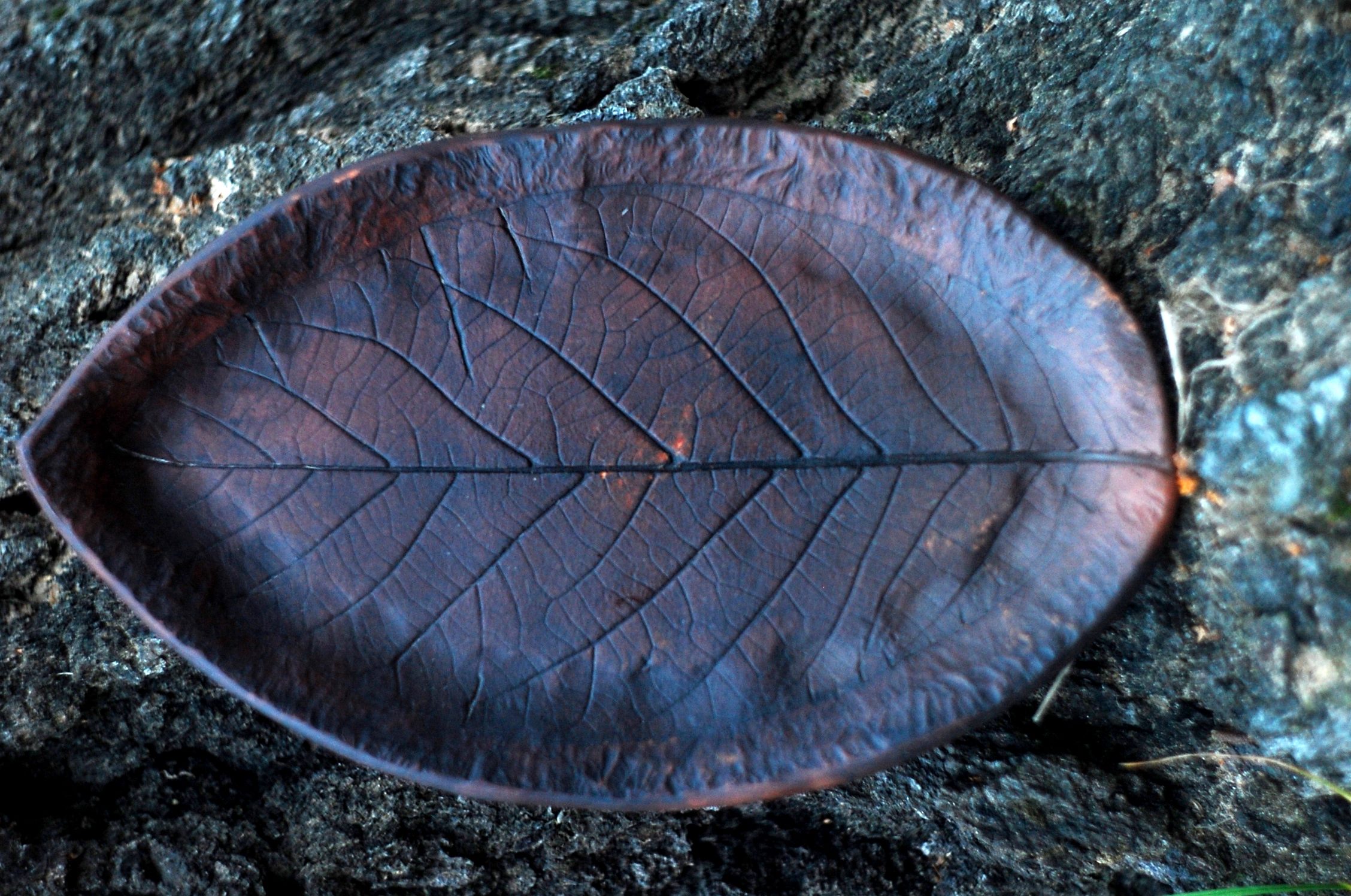 Handmade plate in the shape of a Walnut leaf ~8in