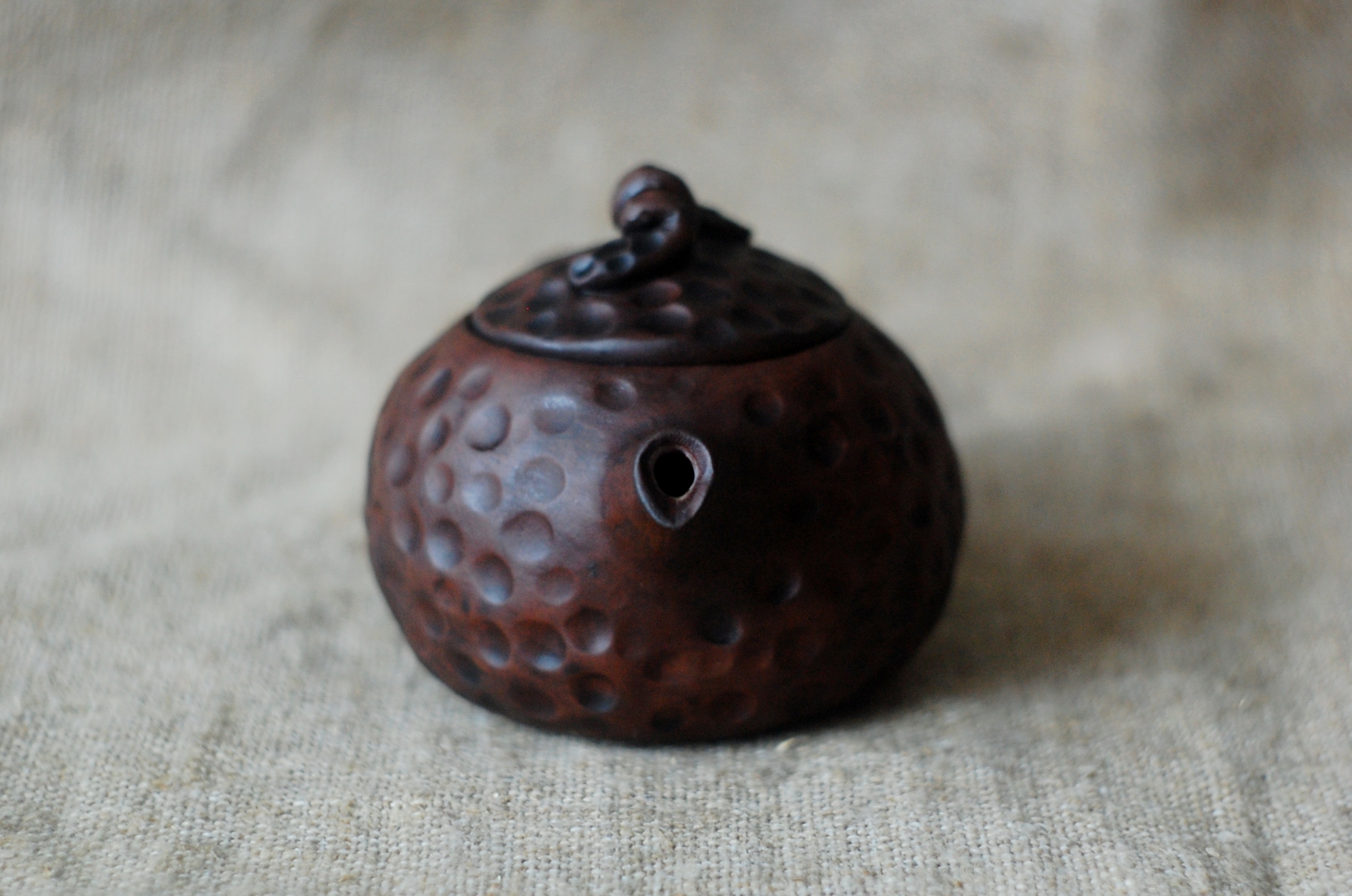Bug pottery clay tea brewing pot or teapot for tea ceremony