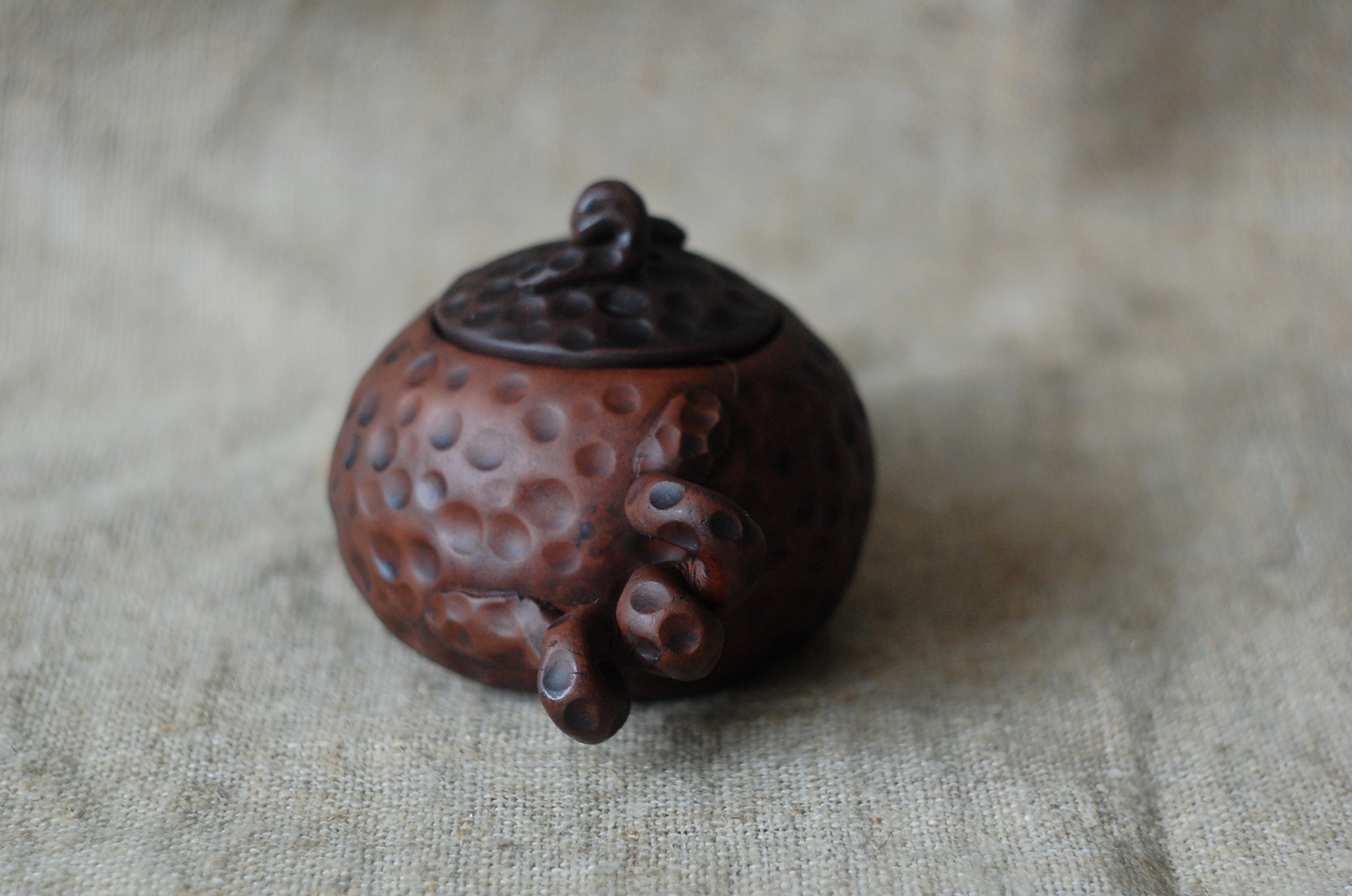 Bug pottery clay tea brewing pot or teapot for tea ceremony