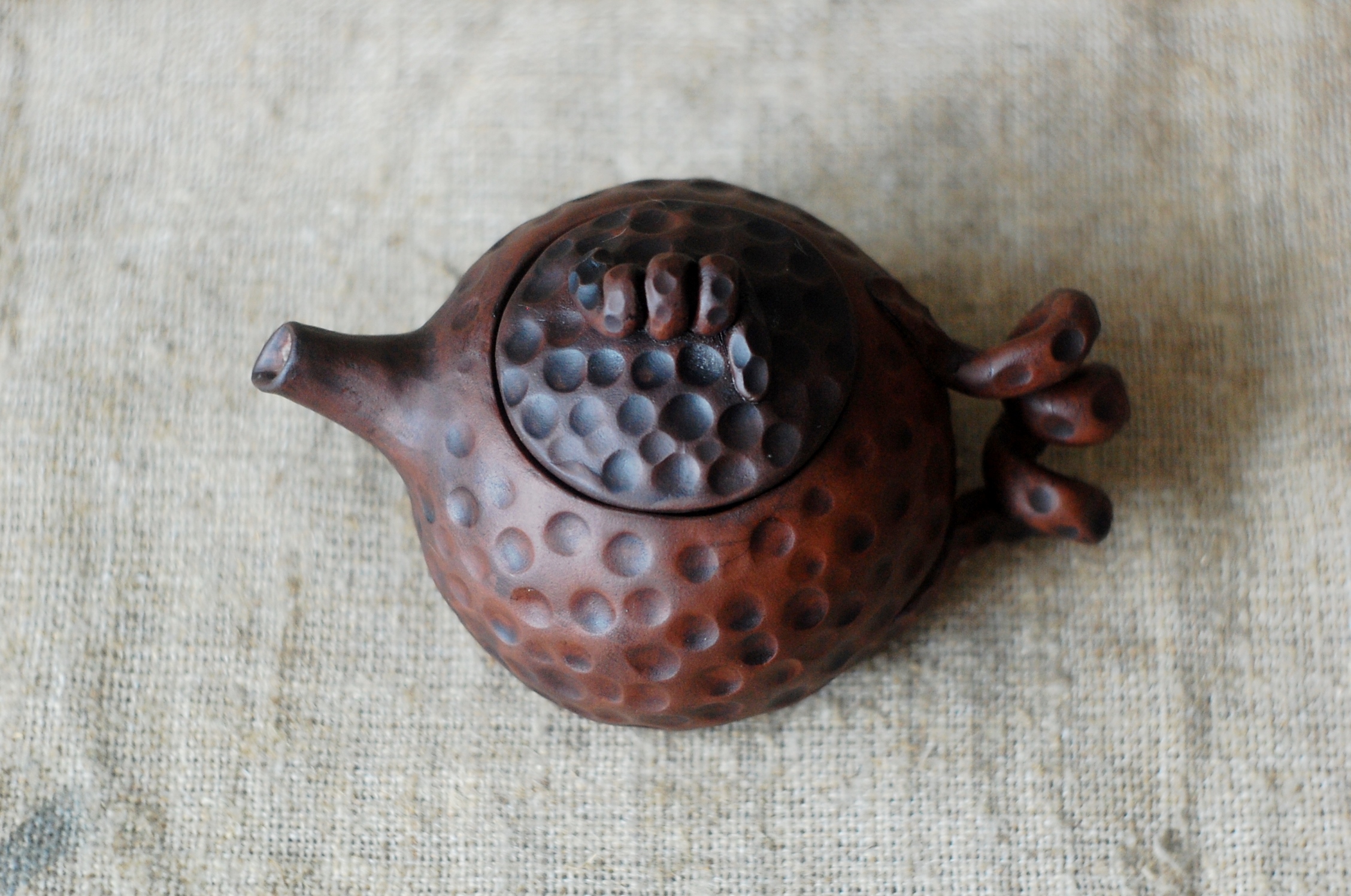 Pottery tea brewing pot or teapot for tea ceremony Bug