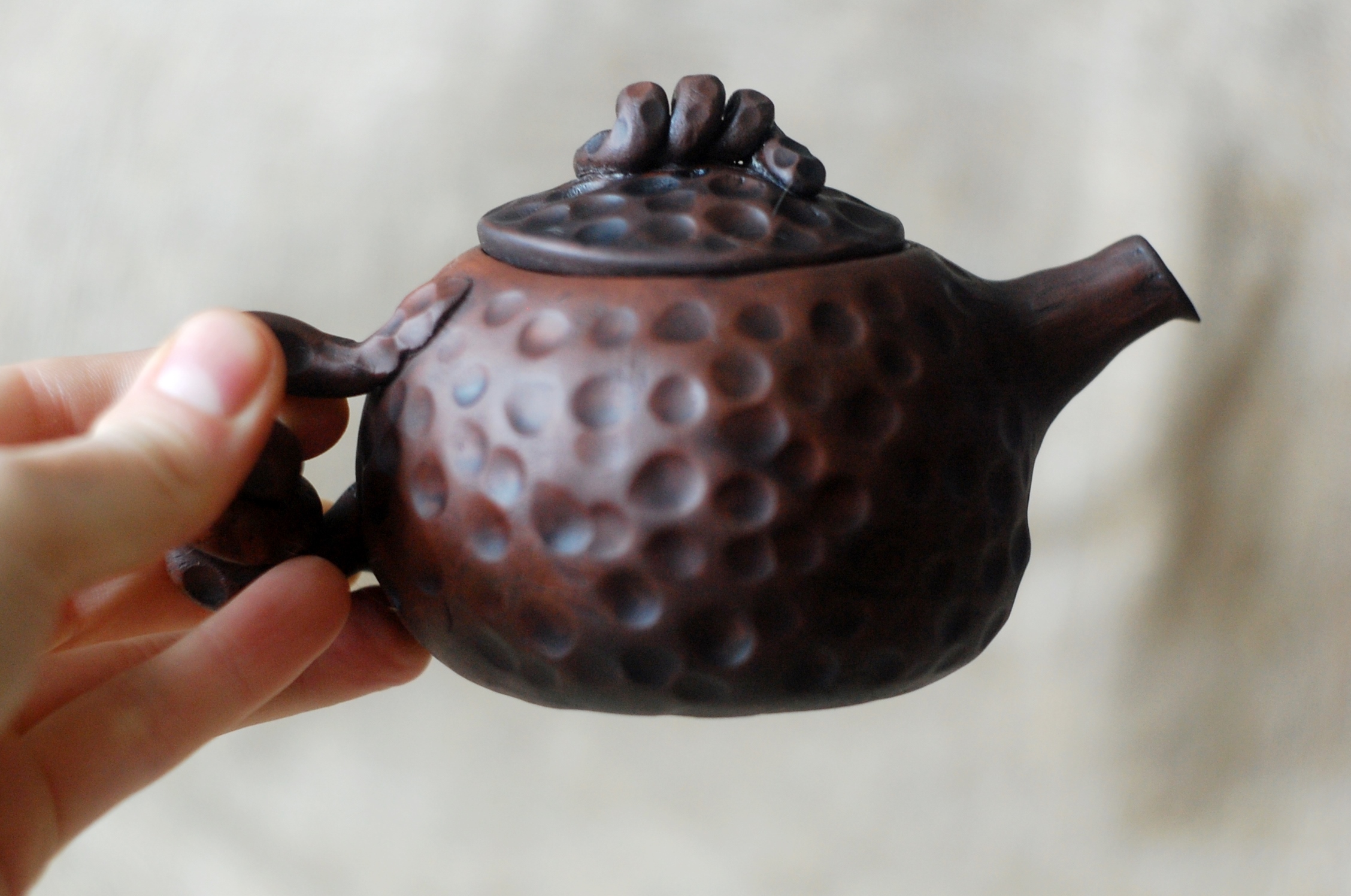 Pottery tea brewing pot or teapot for tea ceremony Bug